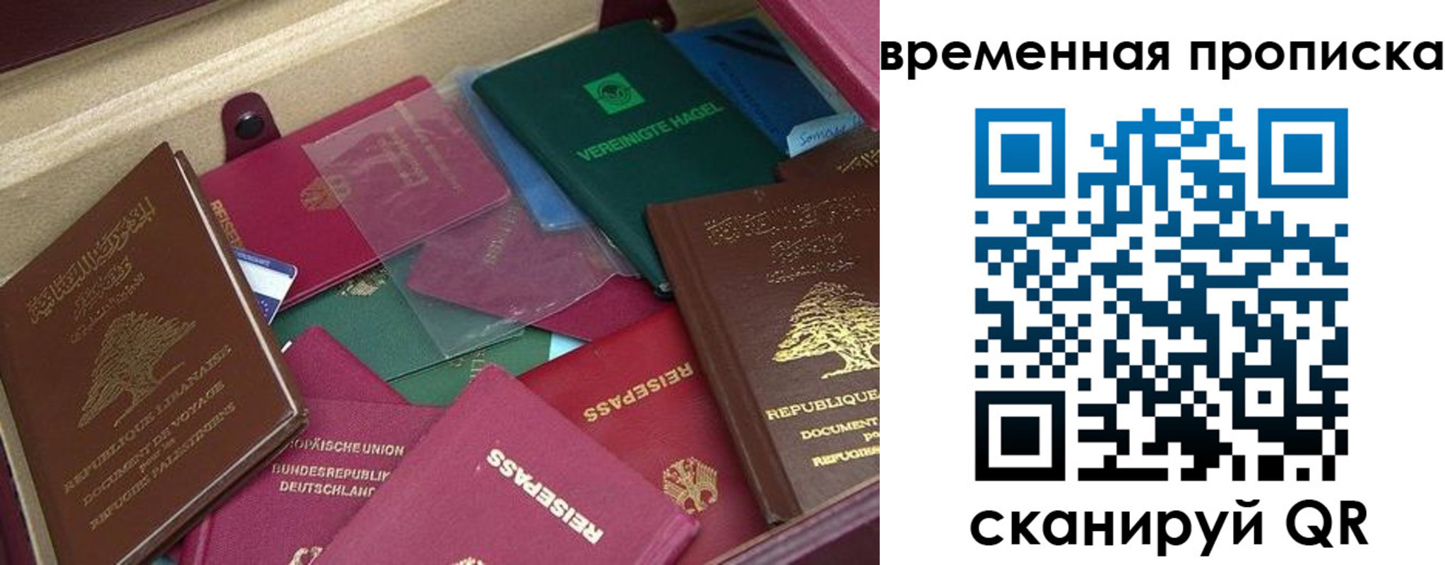прописка в Донском